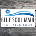 Logo Design Blue Soul Maui