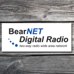 Logo Design for BearNET